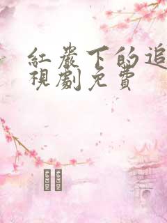 红岩下的追捕电视剧免费