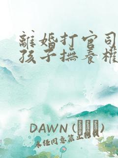 离婚打官司争夺孩子抚养权