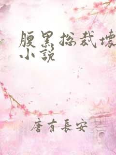 腹黑总裁坏坏爱小说