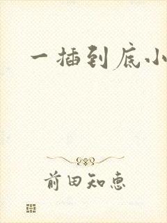 一插到底小说