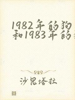 1982年的狗和1983年的猪婚姻