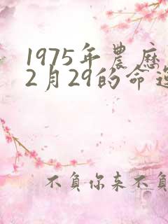 1975年农历2月29的命运
