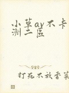 小草av不卡亚洲二区