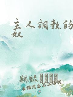 主人调教的小男奴