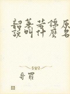 韶华若锦原著小说叫什么名字