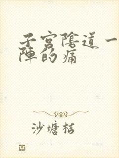 子宫阴道一阵一阵的痛