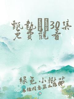 甄执�30集免费观看