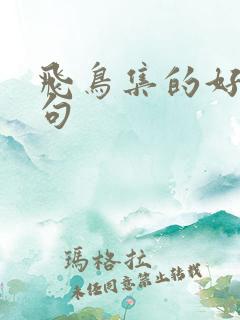 飞鸟集的好词好句