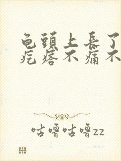 龟头上长了小红疙瘩不痛不痒