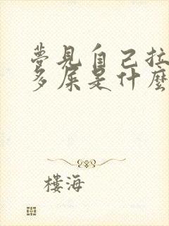 梦见自己拉了很多屎是什么预兆