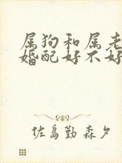 属狗和属老鼠的婚配好不好