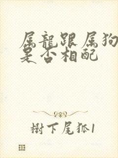 属龙跟属狗婚姻是否相配