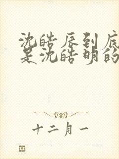 沈皓辰到底是不是沈皓明的儿子