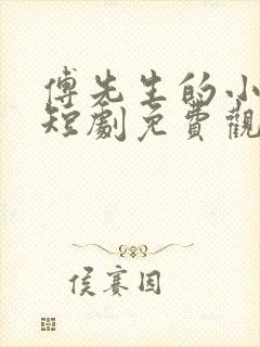 傅先生的小作精短剧免费观看全集