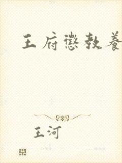 王府惩教养日常