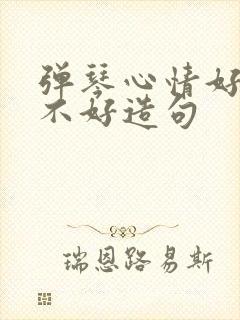 弹琴心情好心情不好造句