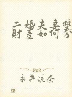 二婚夫妻双方的财产如何分割