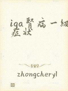 iga肾病一级症状