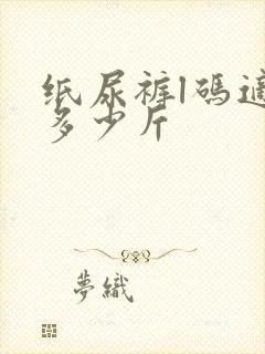 纸尿裤l码适合多少斤