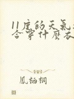 11度的天气适合穿什么衣服