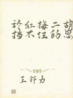 于红梅二胡演奏挡不住的思念