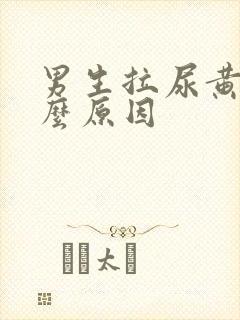 男生拉尿黄是什么原因