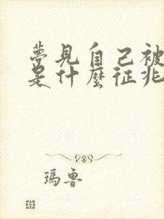 梦见自己被蛇追是什么征兆