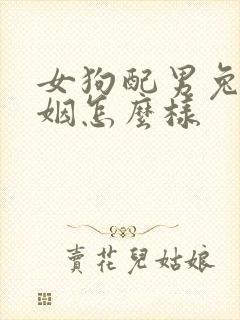 女狗配男兔的婚姻怎么样