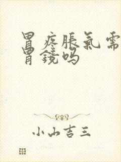 胃疼胀气需要做胃镜吗