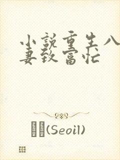 小说重生八零佳妻致富忙