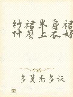 纱裙半身裙搭配什么上衣好看