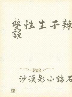 双性生子辣文小说