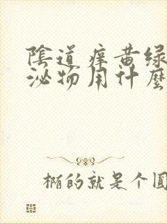 阴道痒黄绿色分泌物用什么药