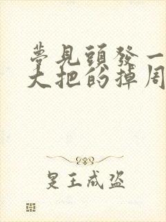 梦见头发一抓一大把的掉周公解梦