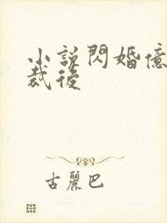 小说闪婚亿万总裁后