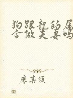 狗跟龙的属相适合做夫妻吗