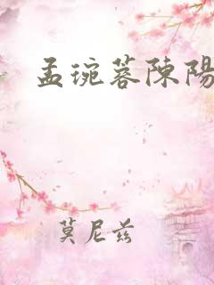 孟琬蓉陈阳小说