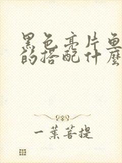 黑色亮片鱼尾裙的搭配什么上衣