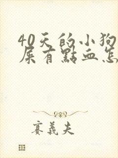 40天的小狗拉屎有点血怎么回事