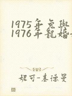 1975年兔与1976年龙婚姻