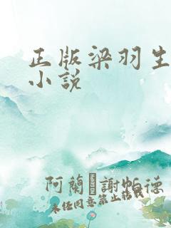 正版梁羽生武侠小说