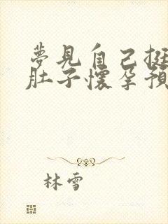 梦见自己挺着大肚子怀孕预示什么