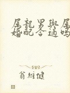 属龙男与属蛇女婚配合适吗