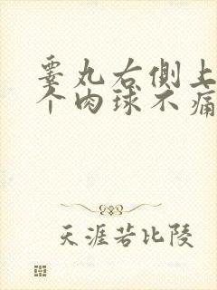 睾丸右侧上长了个肉球不痛不痒