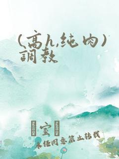 (高h,纯肉)调教