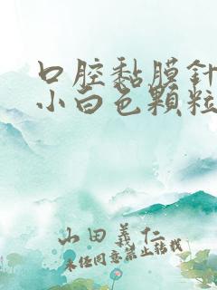 口腔黏膜针尖大小白色颗粒