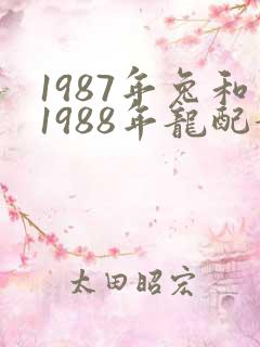 1987年兔和1988年龙配婚姻好不好