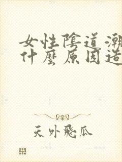 女性阴道潮湿是什么原因造成的