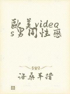 欧美videos男同性恋