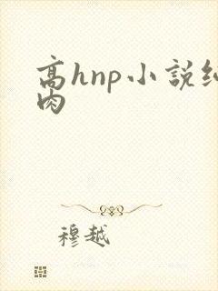 高hnp小说纯肉